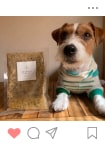Instagramに投稿されたわんちゃん9
