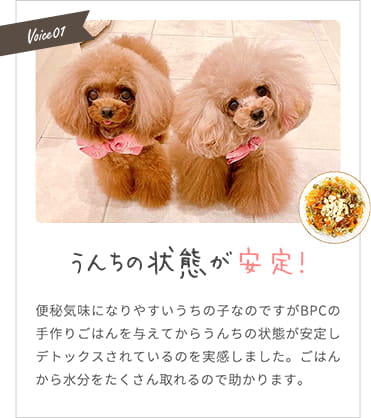 【うんちの状態が安定！】便秘気味になりやすいうちの子がBPCの手作りごはんを与えてから、うんちの状態が安定しデトックスされているのを実感しました。