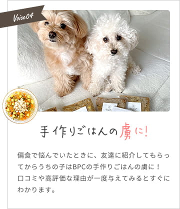 【手作りごはんの虜に！】偏食で悩んでいたうちの子がBPCの手作りごはんの虜に！口コミや高評価な理由が一度与えてみるとすぐにわかります。