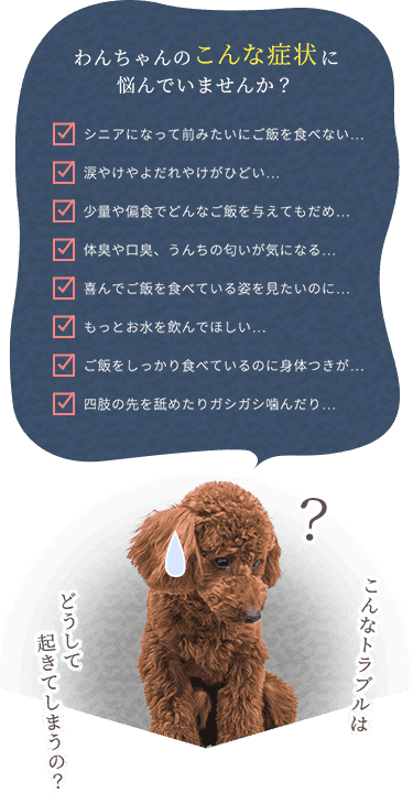 わんちゃんのこんな症状に悩んでいませんか？ シニアになって前みたいに食べない / 涙やけ・よだれやけ / 少食・偏食 / 体臭・口臭・うんちの匂い / 喜んで食べる姿を見たい / もっとお水を飲んで欲しい / しっかり食べているのに身体つきが / 四肢の先を舐めたり噛んだり