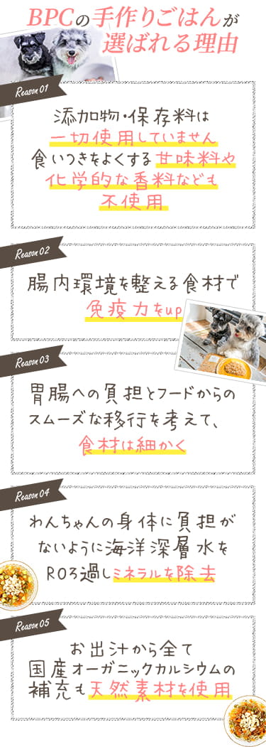【BPCの手作りごはんが選ばれる理由】1.添加物・保存料・甘味料・香料不使用 / 2.腸内環境を整え免疫力UP / 3.食材は細かく / 4.海洋深層水をROろ過しミネラルを除去 / 5.全て天然素材を使用