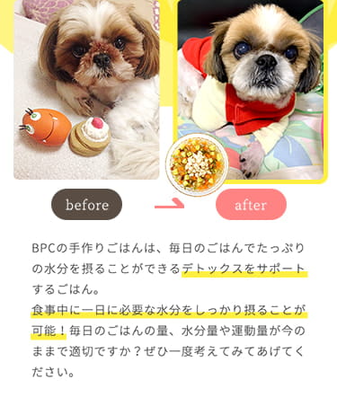 ひどい皮膚炎で体が赤くなり、よだれやけにも悩まされていましたが水分が補われたことで悪いものが流され綺麗になりました。