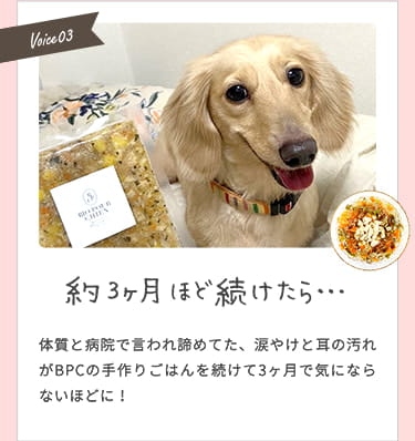 【約3ヶ月ほど続けたら...】体質と病院で言われ諦めてた、涙やけと耳の汚れが気にならないほどに！